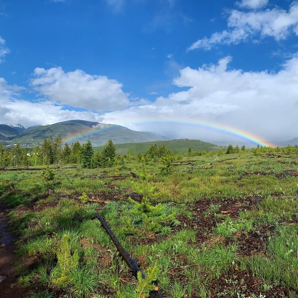 Hey guys - Picture 4 of 6